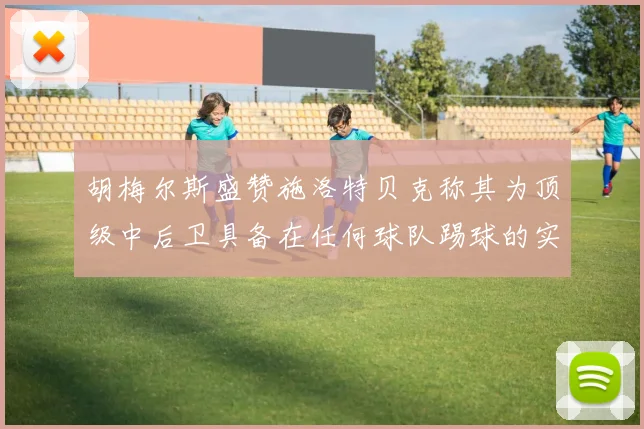 胡梅尔斯盛赞施洛特贝克称其为顶级中后卫具备在任何球队踢球的实力